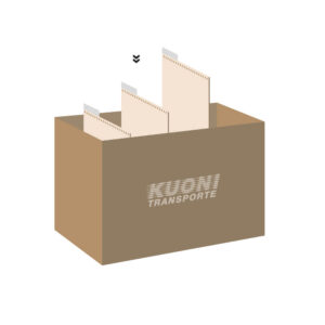 Hängeregisterkarton mit Einlage